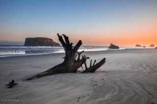 Bandon Beach-3123